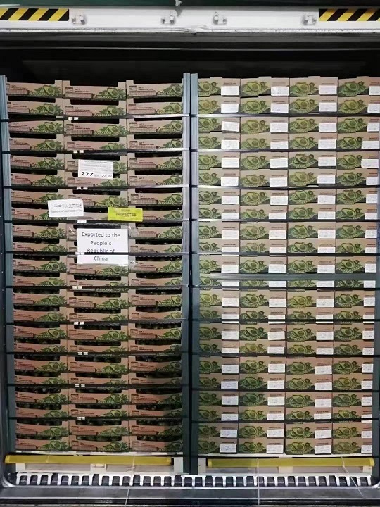 報(bào)關(guān)行8.jpg 報(bào)關(guān)行8.jpg