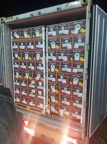 進口報關(guān)代理.jpg 進口報關(guān)代理.jpg