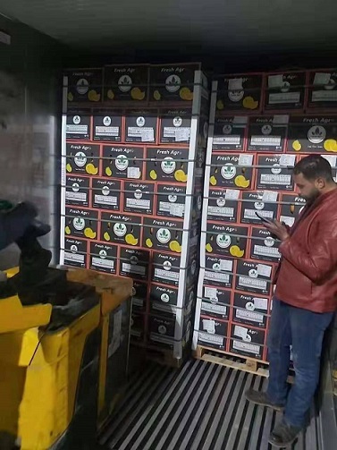 進(jìn)口報(bào)關(guān)代理3.jpg 進(jìn)口報(bào)關(guān)代理3.jpg