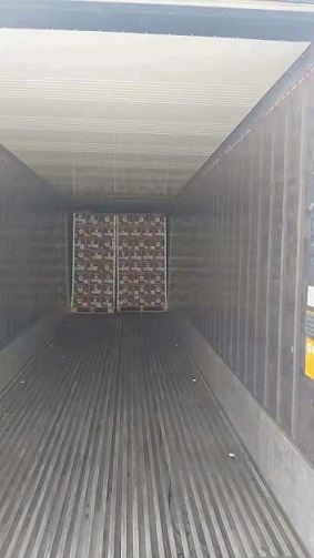 東莞清關2.jpg 東莞清關2.jpg