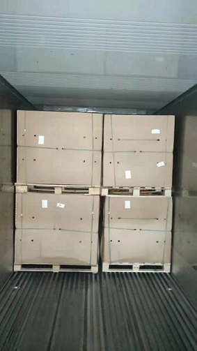 東莞清關(guān)7.jpg 東莞清關(guān)7.jpg