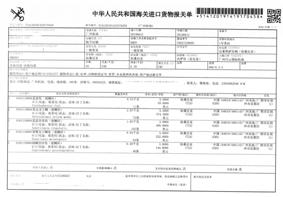 慈鯛魚進口.png 慈鯛魚進口.png