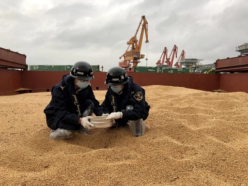 糧食.jpg 糧食.jpg