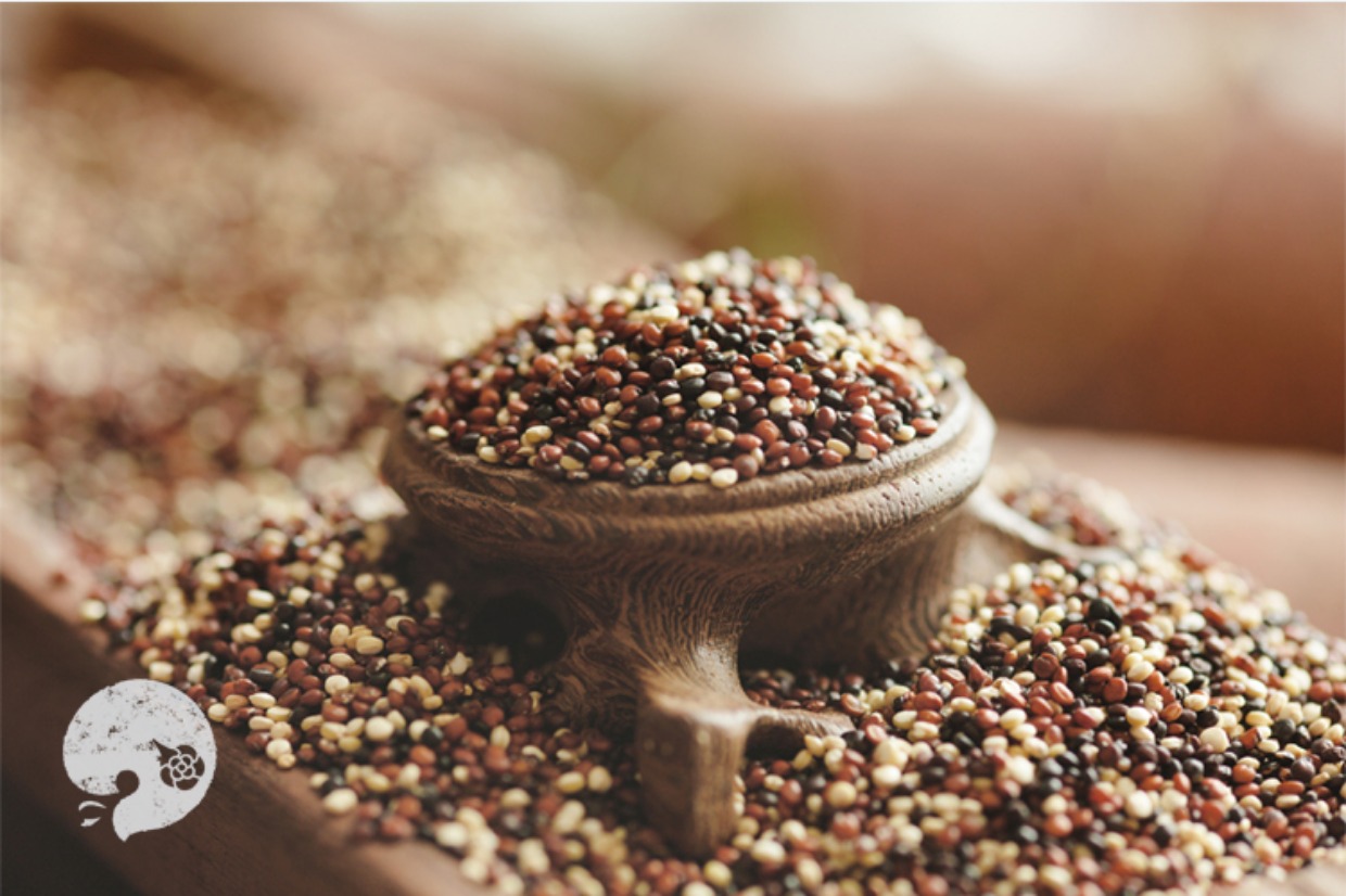 藜麥.jpg 藜麥.jpg