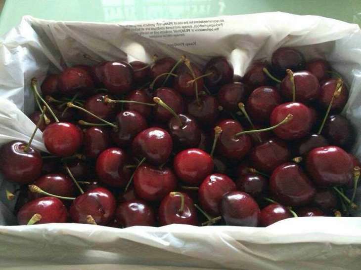 水果進(jìn)口清關(guān).jpg 水果進(jìn)口清關(guān).jpg