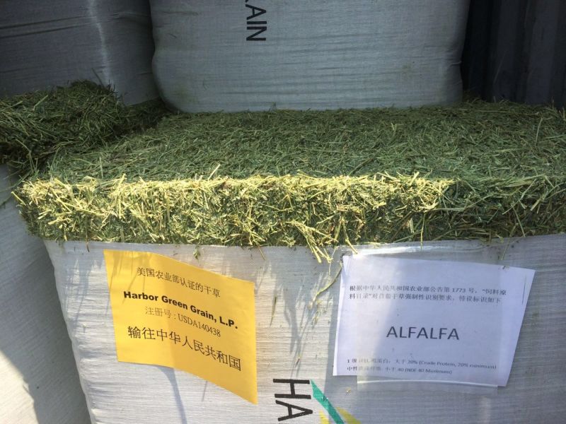 苜蓿草進(jìn)口清關(guān).jpg 苜蓿草進(jìn)口清關(guān).jpg