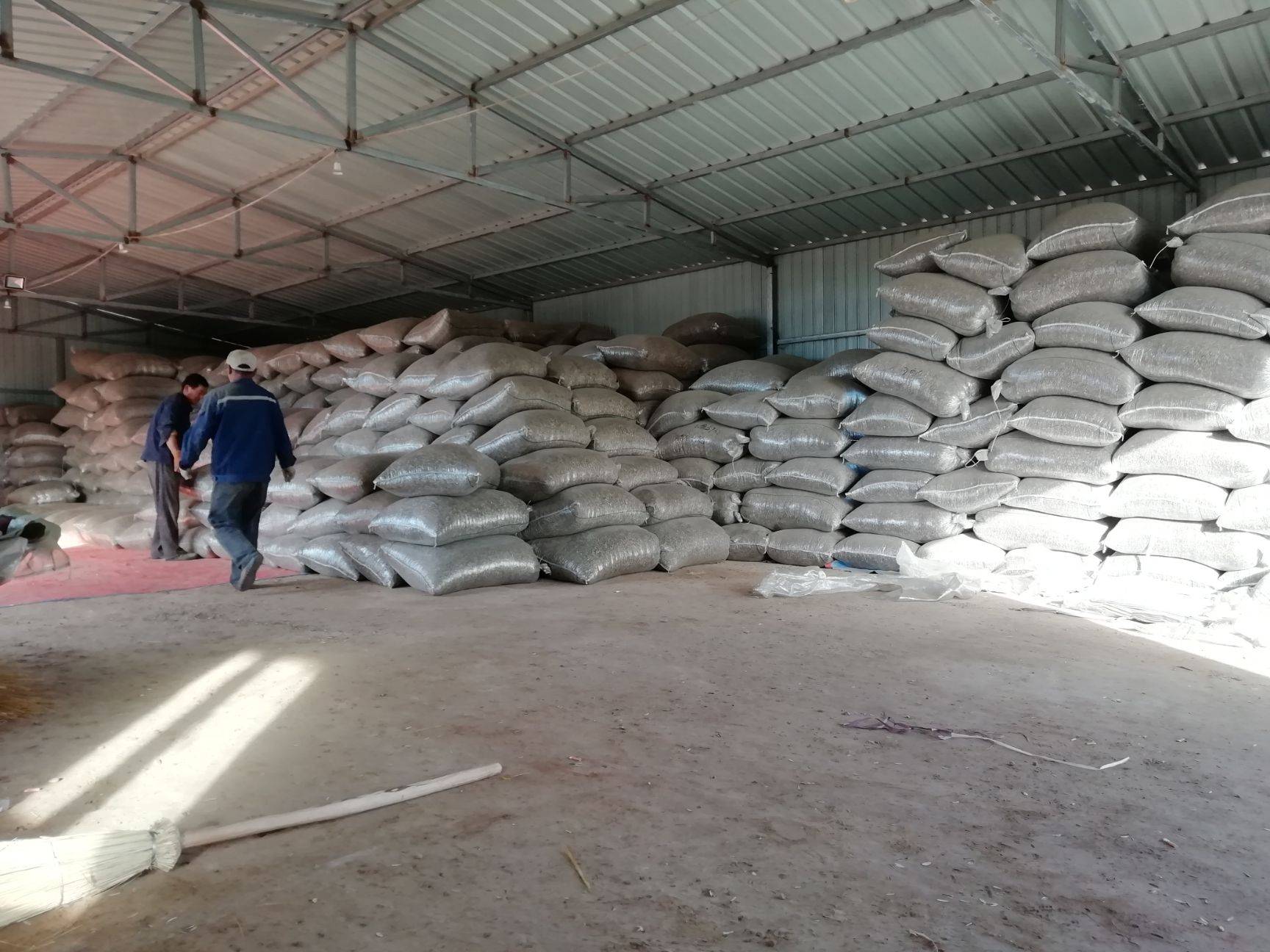 葵花子進口清關(guān).jpg 葵花子進口清關(guān).jpg