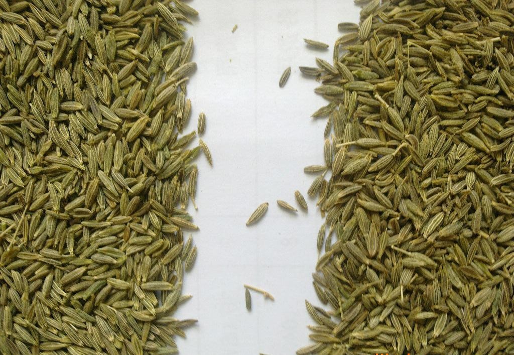 孜然進(jìn)口清關(guān).jpg 孜然進(jìn)口清關(guān).jpg