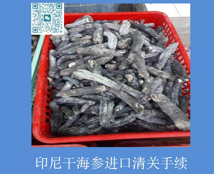 印尼干海參進口清關(guān)手續(xù).jpg