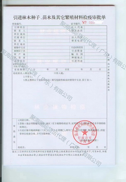 進(jìn)口越南苗木.jpg 進(jìn)口越南苗木.jpg