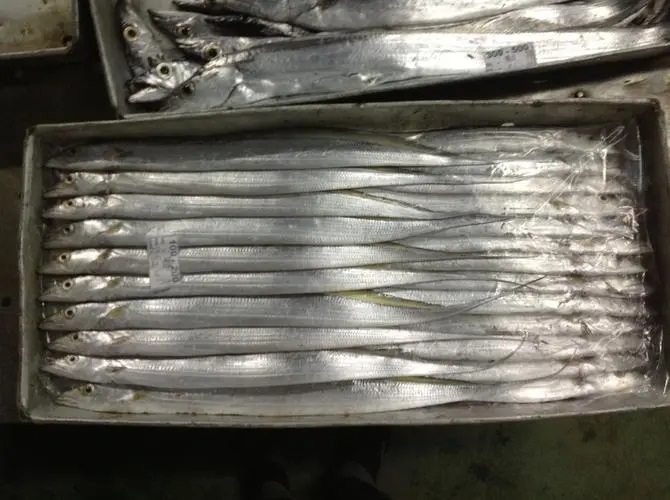 越南凍帶魚.jpg 越南凍帶魚.jpg