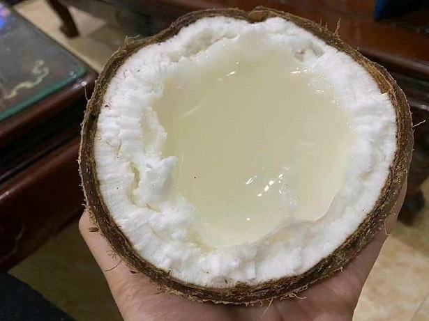 糯米椰子.jpg 糯米椰子.jpg