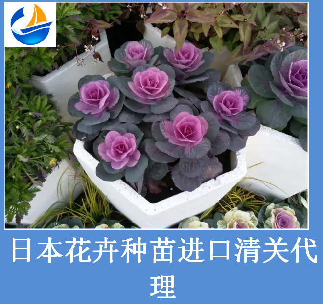 日本花卉種苗進(jìn)口清關(guān).png 日本花卉種苗進(jìn)口清關(guān).png