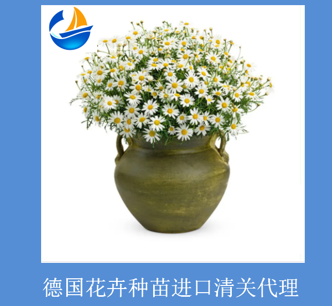 德國花卉進口清關(guān)1.png 德國花卉進口清關(guān)1.png