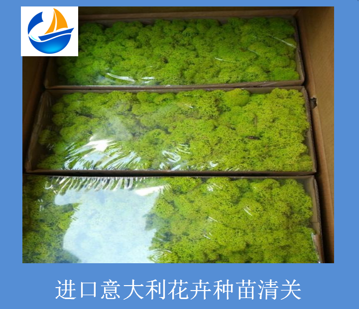 進口意大利花卉種苗清關(guān).png 進口意大利花卉種苗清關(guān).png