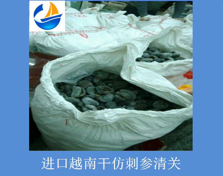 進(jìn)口越南干仿刺參清關(guān).png 進(jìn)口越南干仿刺參清關(guān).png