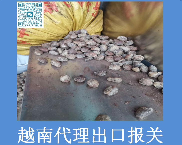 越南代理出口報關(guān).png 越南代理出口報關(guān).png