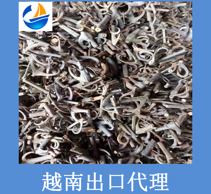 越南出口代理.png 越南出口代理.png