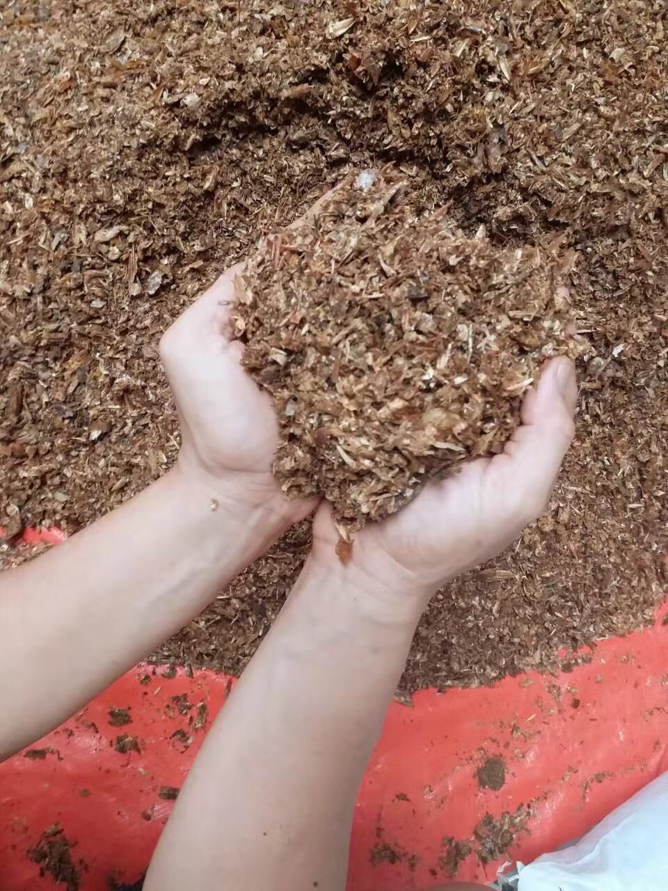 1542785434822347.jpg 蝦殼片4.jpg