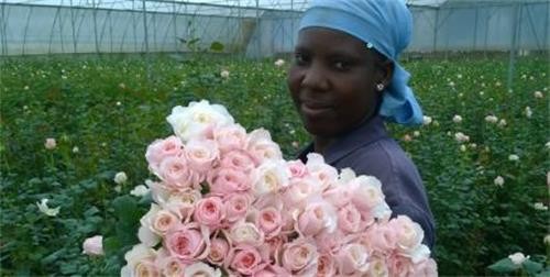 1574133380157974.jpg 鮮花.jpg