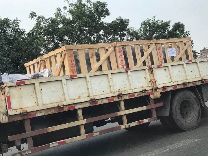 1598925451490357.jpg 報(bào)關(guān)單證1.jpg