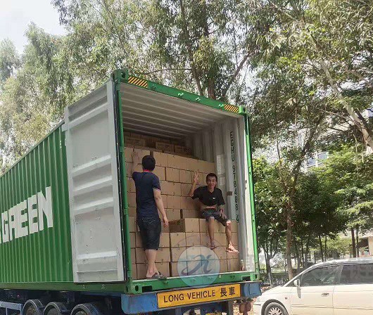 1606353499715661.jpg 2.13.jpg