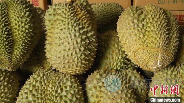 1609831330395634.jpeg 榴蓮1.jpeg