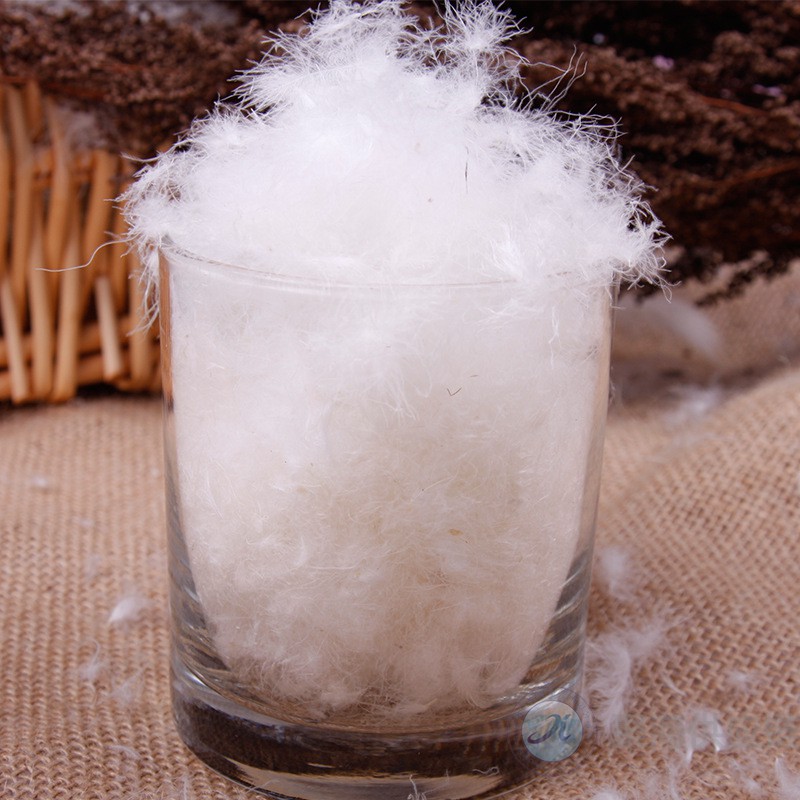 1610336318740017.jpg 鴨絨1.jpg